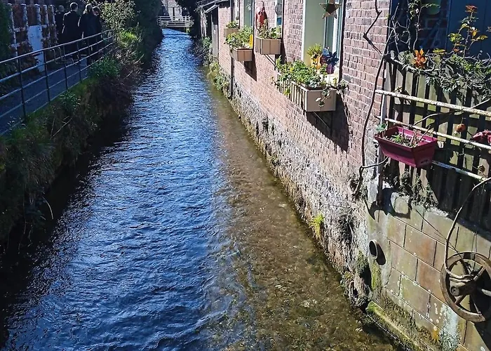 La Sâane - Domaine Du Presbytère * La Chapelle-sur-Dun